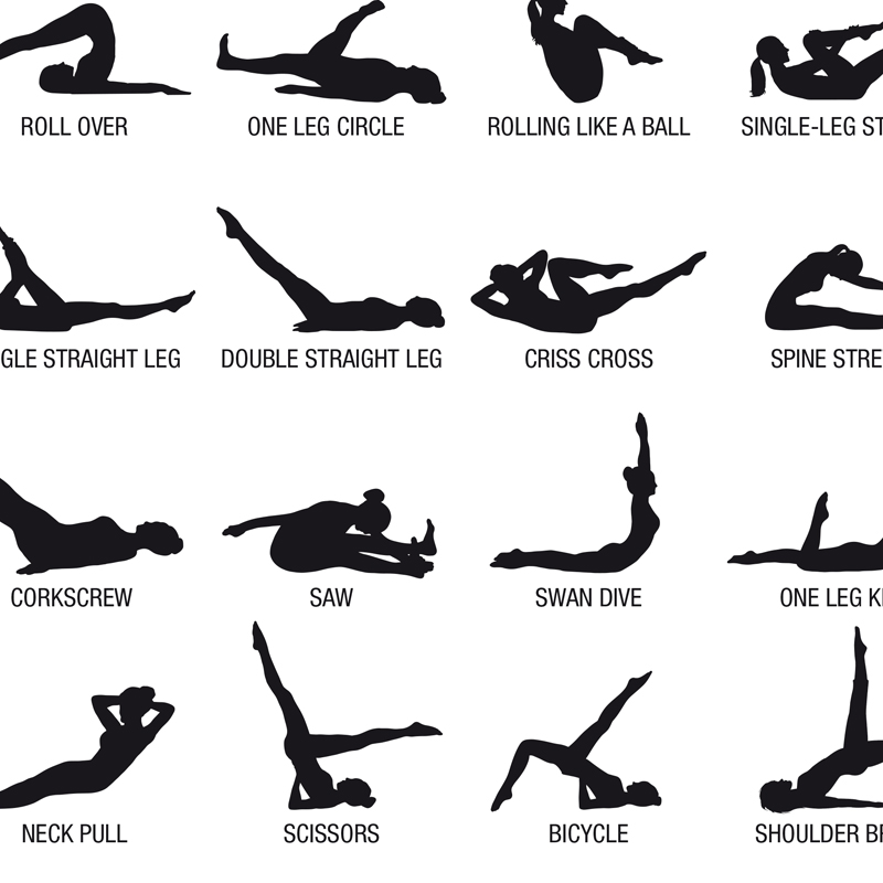 โปสเตอร์แผนภาพการออกกำลังกายพิ - Yoga Fitness Body บทวิจารณ์และราคา